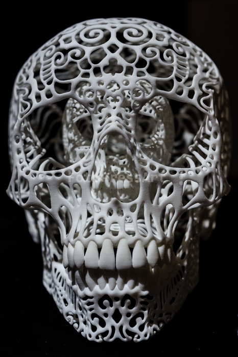 RobGajda3Dprintskull20131116113022.jpg